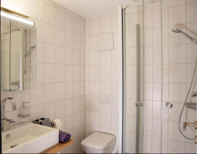 Mountain Deluxe Apartment Bartholomaeberg Ngoại thất bức ảnh